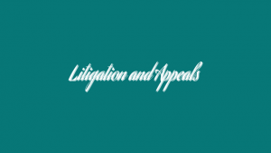Litigation and Appeals